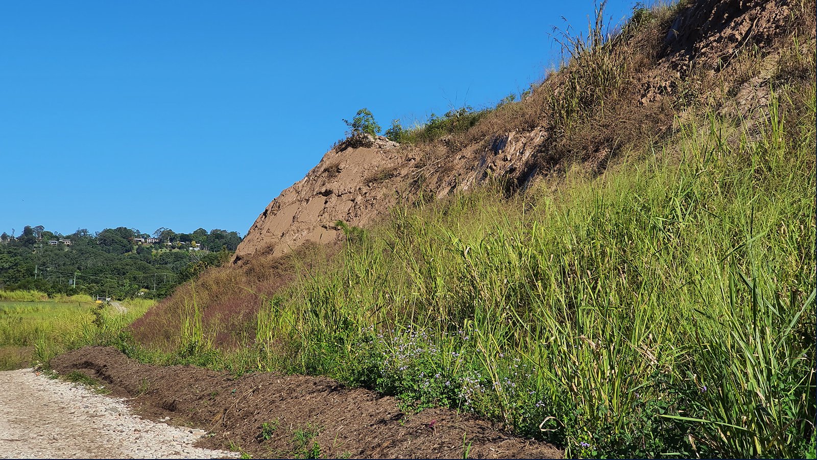 Rencontre trans a tahiti